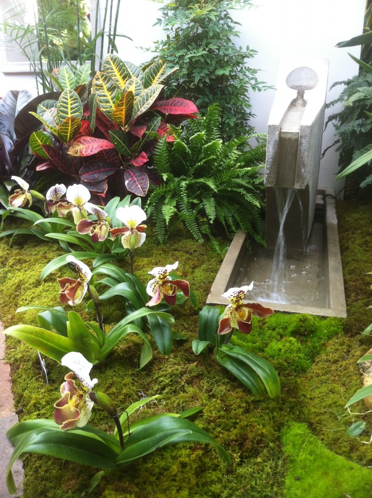 Orchid Flower Bed & Fountain at Missouri Botanic Gardens