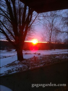 Sunset in The Snow