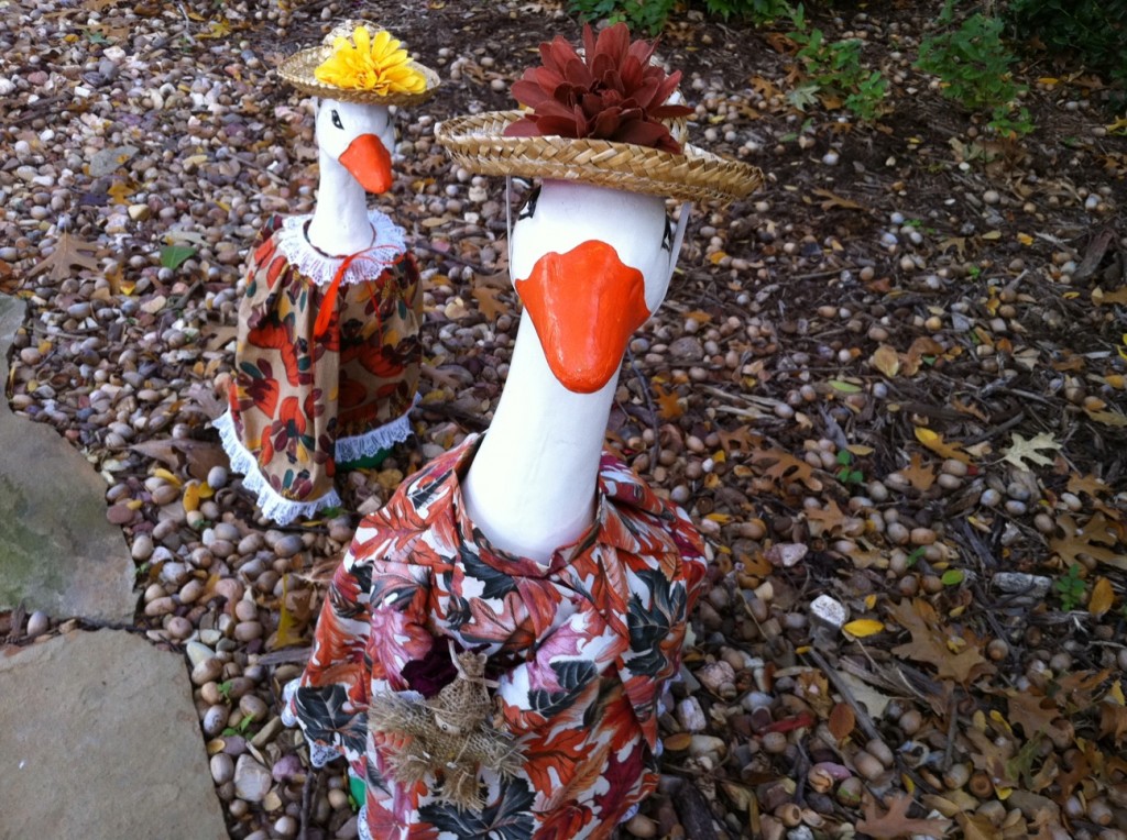 Geese Girls in Thanksgiving Regalia Geese Girls in Thanksgiving Regalia
