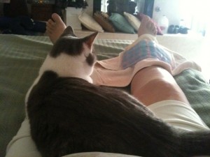Izzy Rests on the Patient Izzy Rests on the Patient