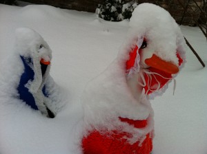 It's Too Deep, I Can't Waddle Through It's Too Deep, I Can't Waddle Through