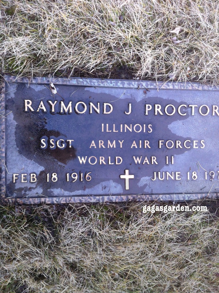 SSGT Raymond James Proctor Army Air Force, World War II SSGT Raymond James Proctor Army Air Force, World War II