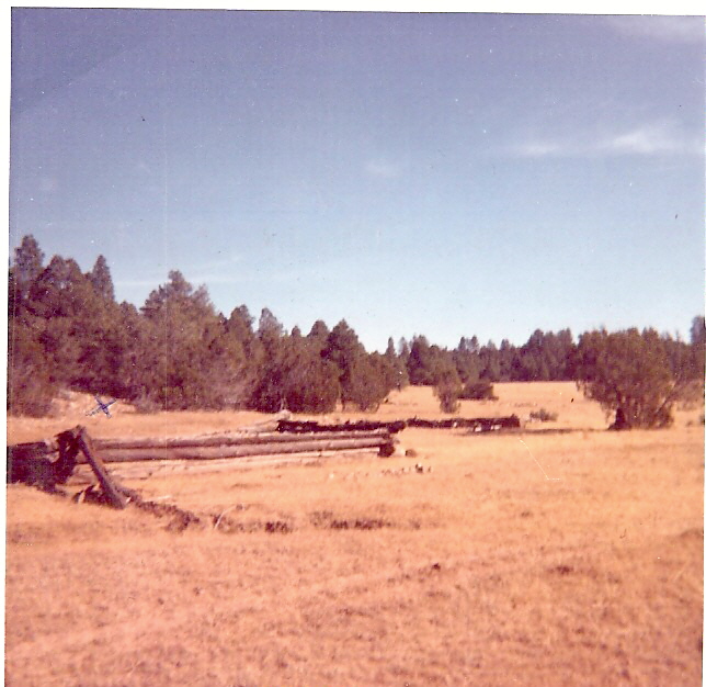 Turner Cabin 1918 photo Sue Tiffany Family