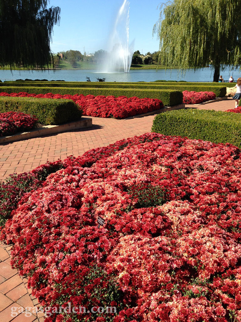 Chicago Botanic Gardens October 2, 2013