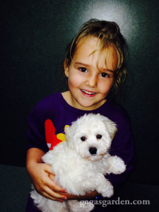 Babies and Puppies