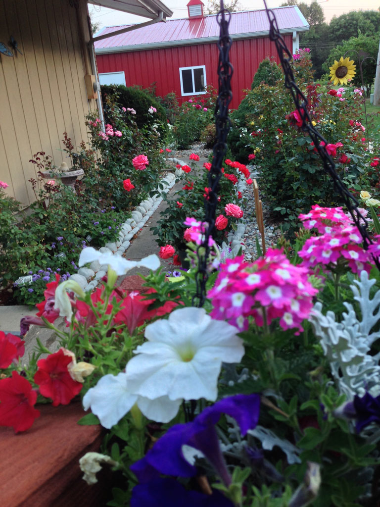 A Gaga's Garden View in July