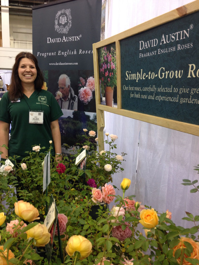 Kate Porter from David Austin Roses, UK