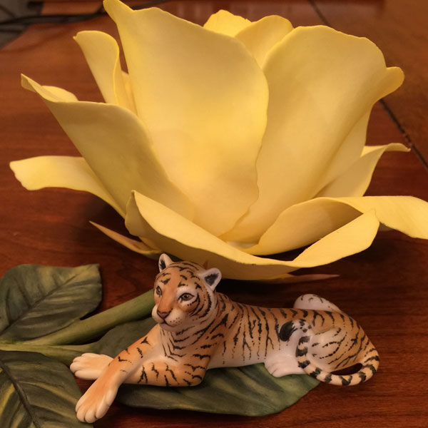 Rose With Tiger by Fleur Cowles of Connoisseur of Malvern