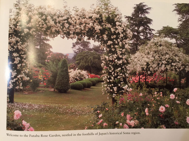 The Rose Garden of Fukushima Archway Before