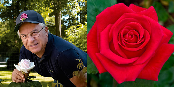 John Mattia | holding and his American Rose Magazine cover feature 'Veterans Honor' winner of the Digital Photography Hybrid Tea Award Winning 'Veterans Honor'