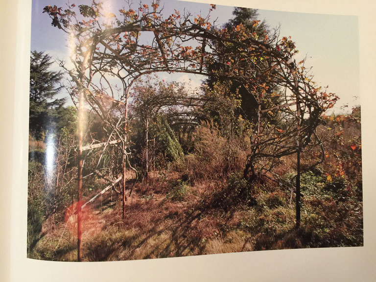 The Archway of The Futaba Rose Garden After the Nuclear Disaster