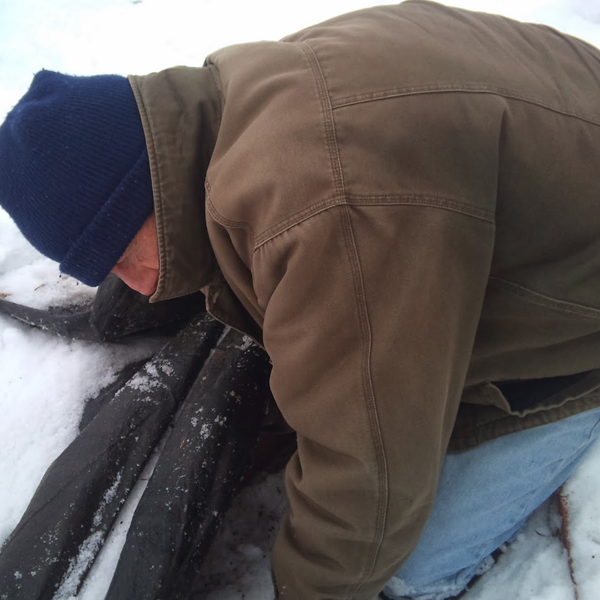 Jack Falker | The Minnesota Rose Gardener | Assisting Deb Kaiser With the Project