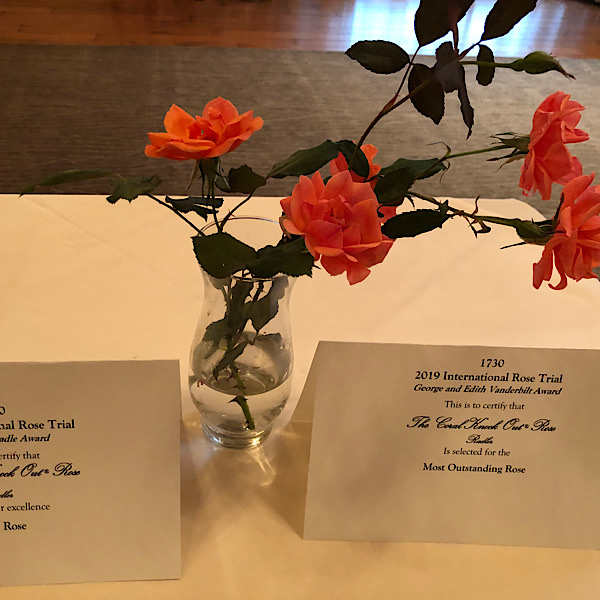 George & Edith Vanderbilt Award 'Most Outstanding Rose' "The Coral Knock®Out Rose bred by Will Radler